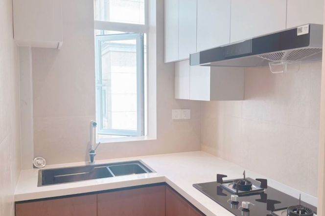 Modern 1Br/1Lr/1Bt apt nr Zhongshan park,M2/3/4