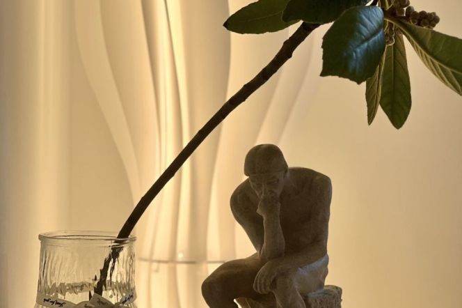 Hongqiao rd 1BR 1LR@L3/4/10,all bright room/central AC/brand furniture