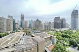 Morden 3brs with floor heating and balcony in  Xintiandi area