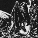 Rapid Rebound, Moya, T.O.S.