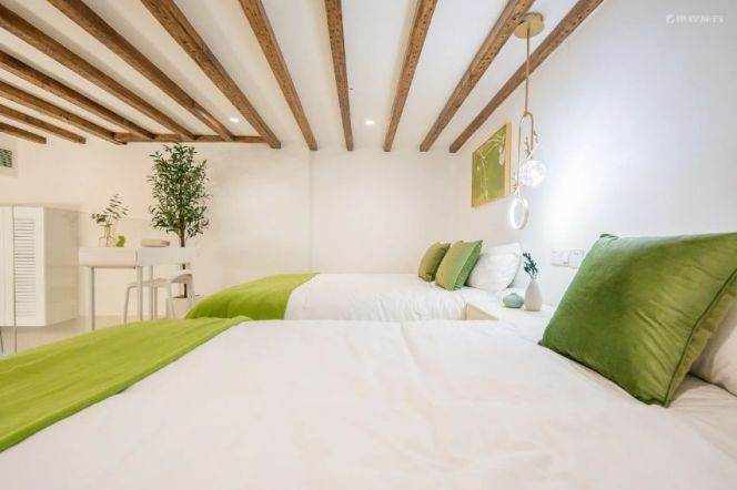 Cozy loft style 1br Apt 