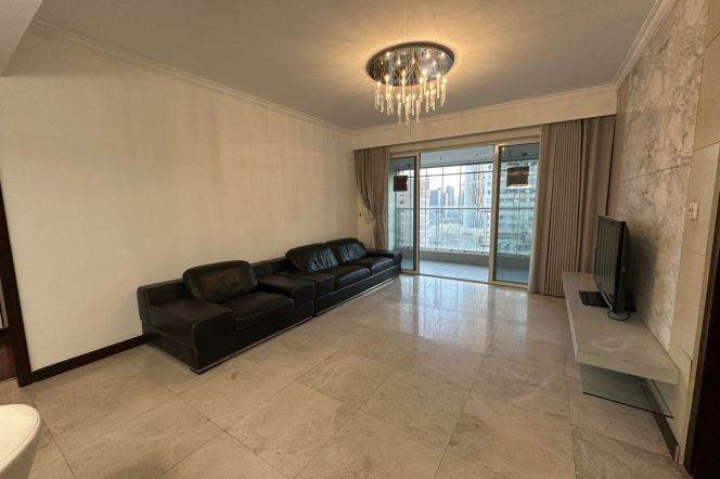 modern big 2brs balcony modern furniture open kitchen in Xintiandi 