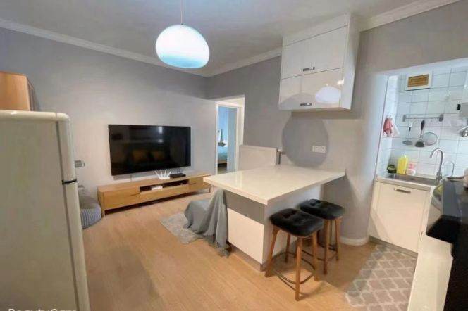 Elevator 1+1Br/1Lr/1Bt apt nr Hongqiao rd,M3/4/10