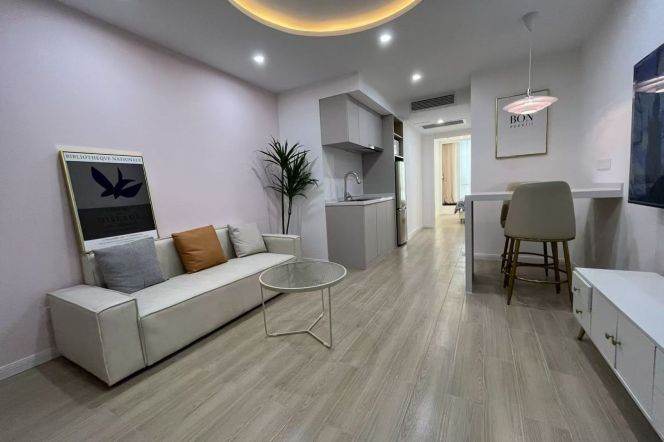West Nanjing rd elevator 1BR apartment