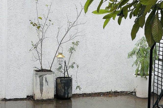 1 BDR | Xuhui-Villa | Line 7 Changshu Rd, near IAPM