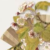 The Beauty of Fan-Tasy: Masterpieces of Fan Painting and Calligraphy Through the Ages from the Shanghai Museum Collection