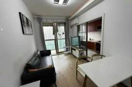 Elevator 1Br/1Lr/1Bt apt nr Changping rd,M7