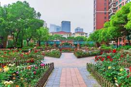 Morden 3brs with floor hrating and balcony in central downtown