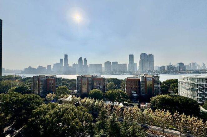 Top duplex/huge terrace/big living/220sqm/3Br/Lujiazui area/Yanlord garden