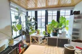 Bright 1Br/1Lr/1Bt apt nr Jiashan rd,M9/12