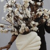 The Great Camouflage