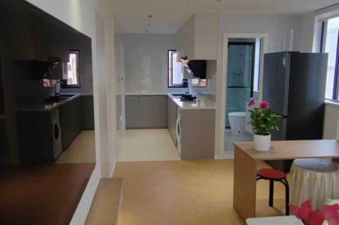 Loushanguan rd/cozy 1BR 1LR@L15/2,all bright room/big living room