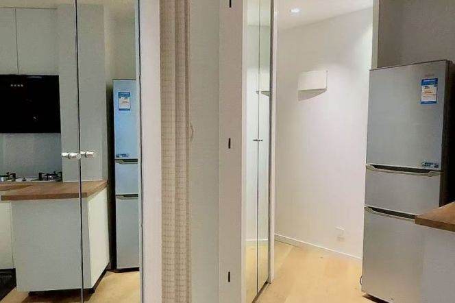 1 br near L2/L12/L13 west nanjing rd station+elevator