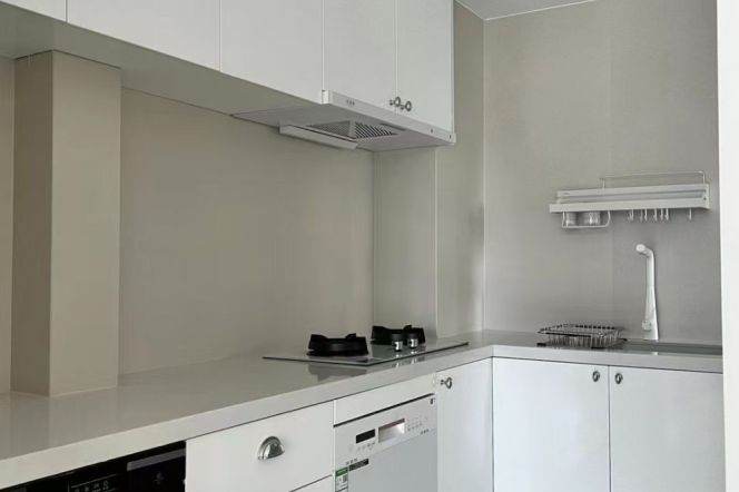 modern 2brs floor heatoing open balcony near line 9 Tianzifang SML shopping mall 20K