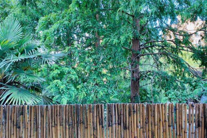 Beautiful Green view 1BR APT Balcony JT university 8.8k