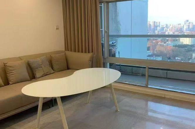 Xujiahui elevator 1+1BR apartment