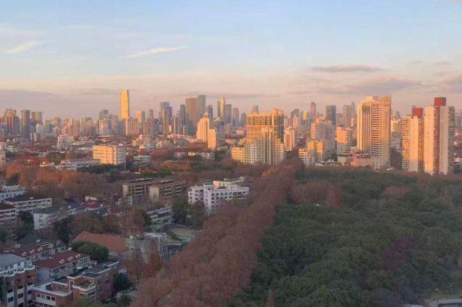 Xujiahui elevator 1+1BR apartment