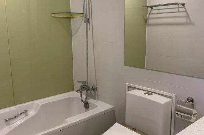 Xujiahui elevator 1+1BR apartment