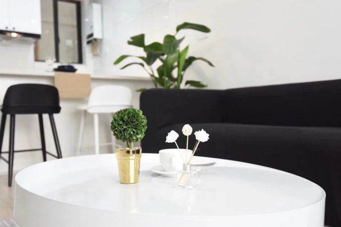 zhongshan park station one bedroom