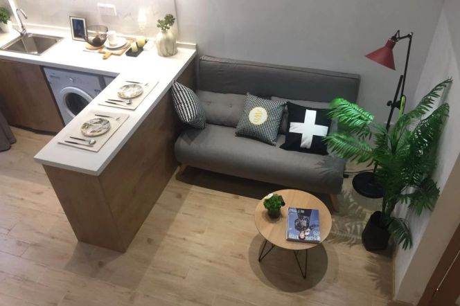 1Loft near SISU(ESSCA) , Fu'dan,SUFE and Tong'ji Uni can either long or short term lease