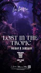  Lost In The Tropic