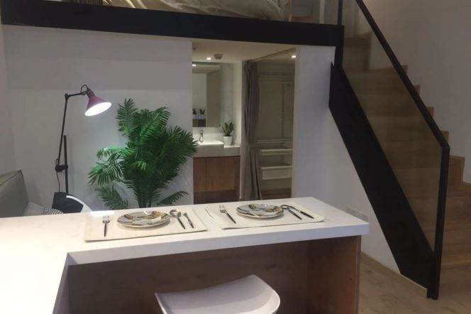 1Loft near SISU(ESSCA) , Fu'dan,SUFE and Tong'ji Uni can either long or short term lease