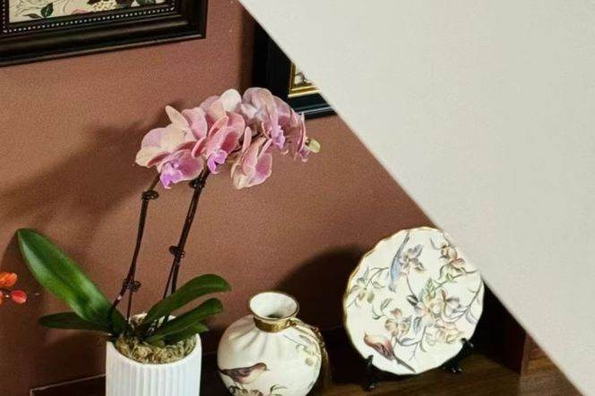 High ceiling 1Br/1Lr/1Bt apt nr Dapuqiao,M9