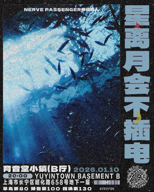 Nerve Passenger