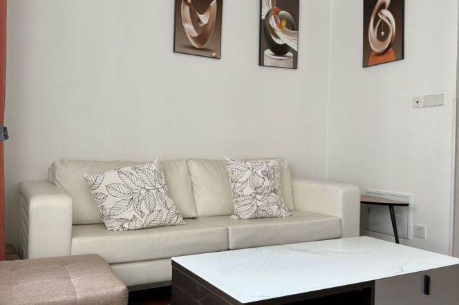 2 Brs, 1 Living room, 80 sqm @ West Nanjing rd station L2,13 & 12