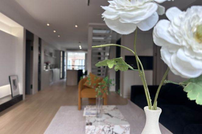 Morden duplex 3brs with terrace in central Xujiahui area