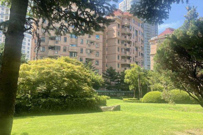 Morden 3brs with balcony in Pudong area