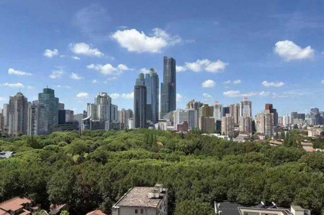 1 br near L7/L9 zhaojiabang rd station+elevator