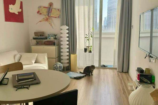 Modern 2Brs/1Lr/1Bt apt nr Shanghai indoor stadium,M1/4
