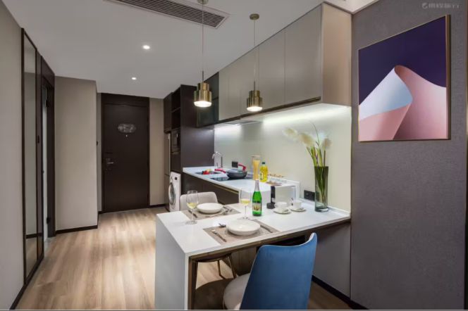 Elevator 1BR-Service Apartments-Short Rent-Metro Line 6 Beiyangjing road