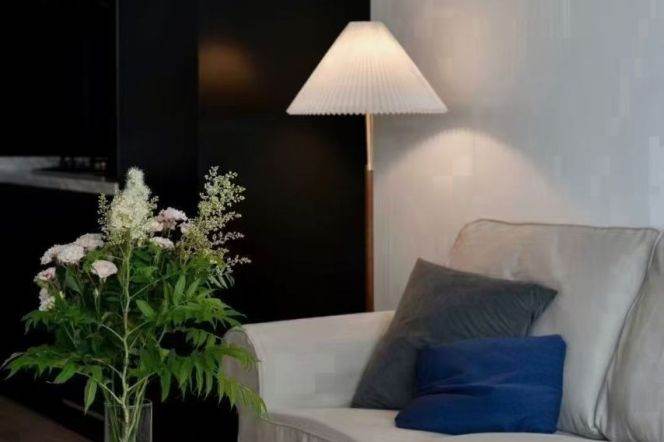 Elevator 1+1 house beside JTU metro