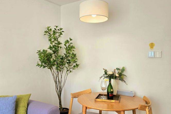 2Br loft service apt in Xuhui district Near Yishan Rd station(Line 3/4/9)