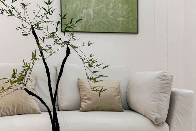 Fudan university station one bedroom