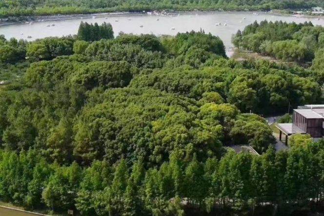 260㎡ 5BR 3BA Penthouse w/Terrace+Park Views/Century Park