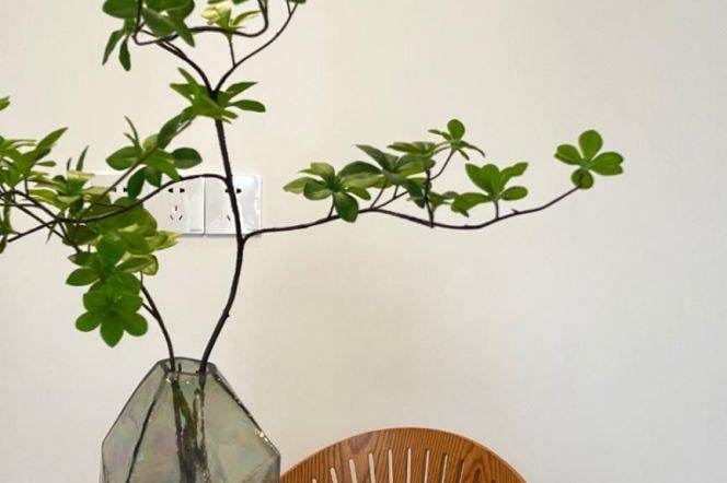 1Br high-rise with floor heating @Jing'an L2/11/14 