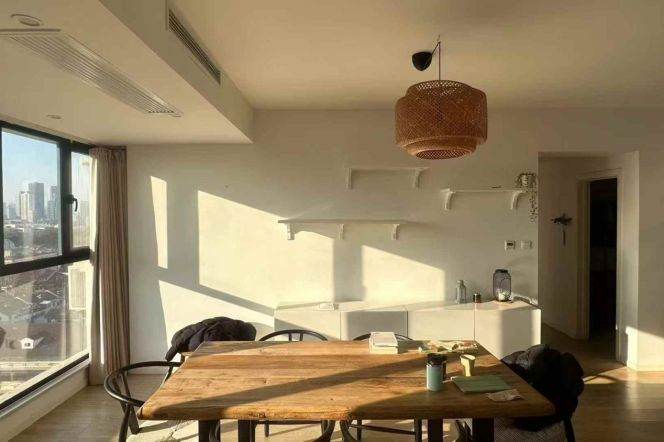 iapm/south Shaanxi rd 2br120sqm