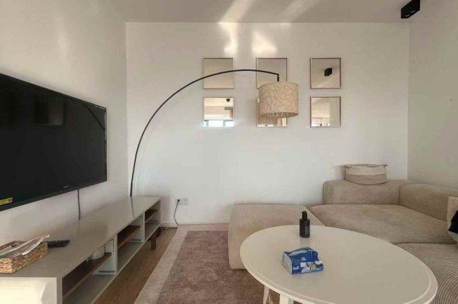 iapm/south Shaanxi rd 2br120sqm