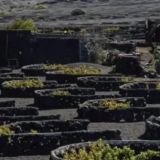 Volcanic Wines Tasting at PASS RESIDENCE