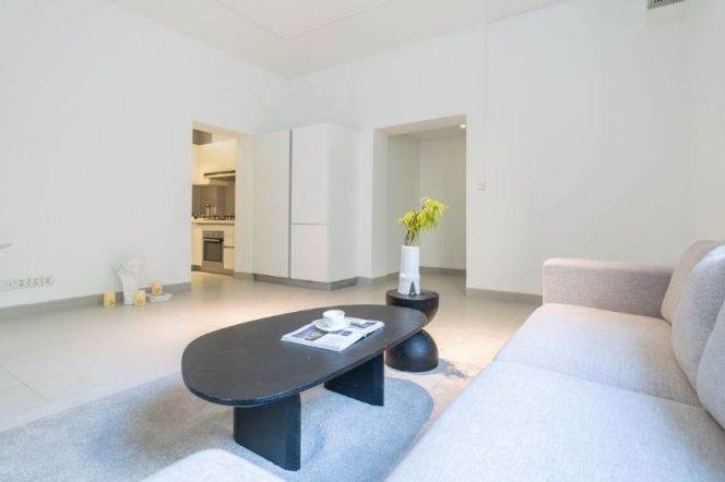 Good lighting 1+1brs with huge garden near IAPM/Changshu Road