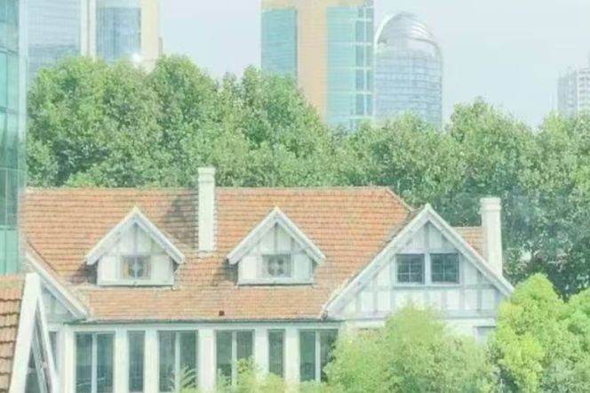 High ceiling 1br Lane Apt + big windows + wall heating | Next to IAPM | 0 step Changshu rd Mt L1/7