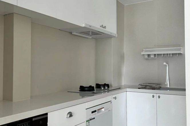 modern 2brs floor heating open balcony modern furniture near line 9 and SML Tianzifang