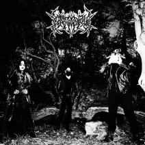 Katharnum, HEADIVE, T.O.S, Mini Koala