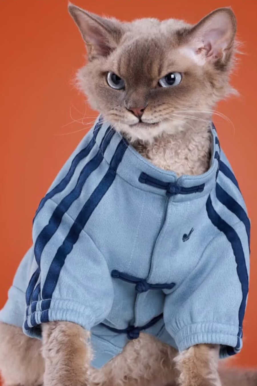 Adidas Made Lunar New Year Outfits for Your Dog
