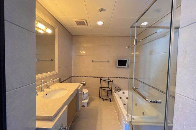 Morden 1bedroom with good view  in Lujiazui