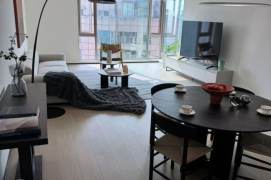 Brand new decoration 2brs with floor heating and river view in Lujiauzi