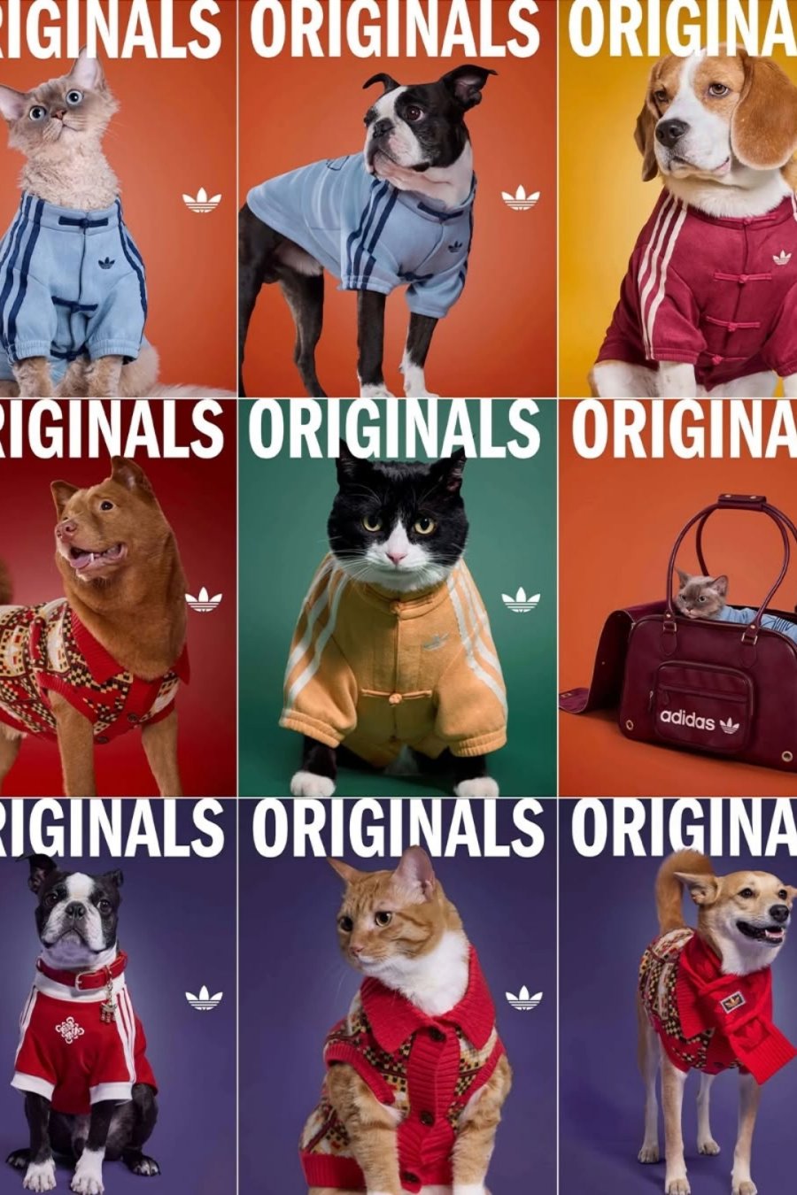Adidas Made Lunar New Year Outfits for Your Dog